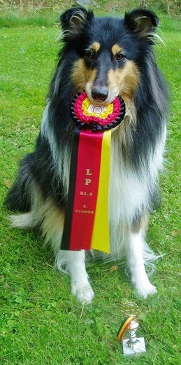 Little Heike-mother obedience competition