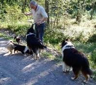 Svein, Sheppegutt, Little Heike-mother and the puppies